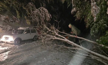 Во Маврово над 30 сантиметри снег, вработени во НП Маврово ги чистат паднатите дрвја на коловозите 