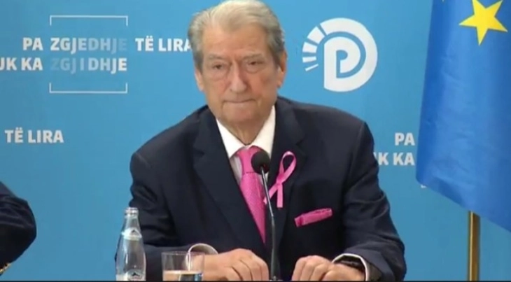 Албанските демократи ќе поддржат независни кандидати за градоначалници на предвремените избори во шест општини