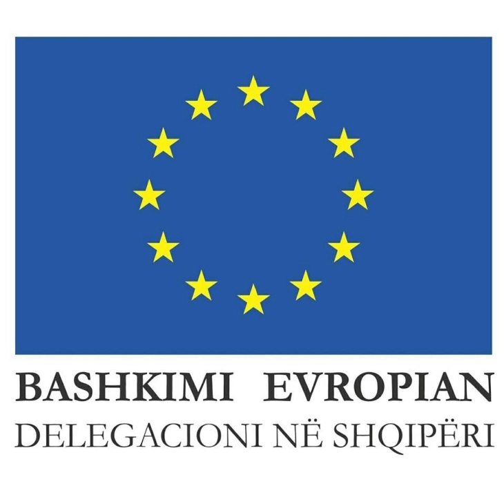 BE-ja kërkon nga Shqipëria që urgjentisht ta rrisë sigurinë në gjykata