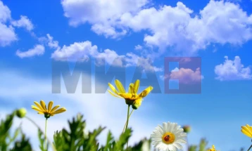 Mot me diell me vranësira të vogla deri në mesatare, temperatura maksimale do të arrijë 22 gradë