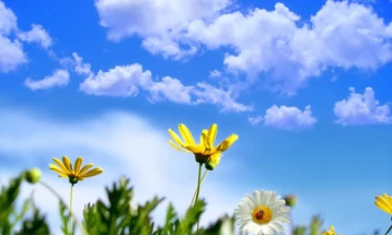 Weather: Sunny and slightly overcast