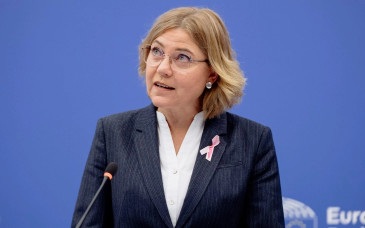 Брисел од американските платформи бара информации за заштита на децата