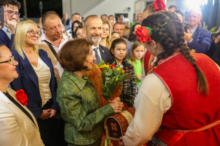 Siljanovska-Davkova: Diaspora duhet të jetë një partner i barabartë në përpjekjen tonë më të rëndësishme - të bëhemi një shtet standard evropian