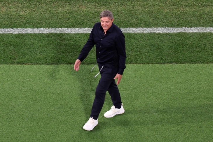 Serbia coach Stojkovic quits after shock Albania defeat