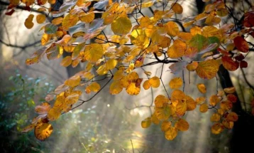 Облачно со сончеви периоди, од среда дожд