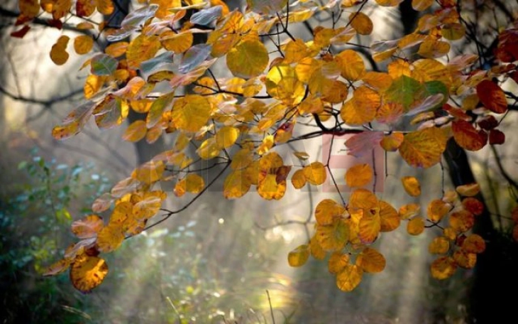 Mot me vranësira dhe periudha me diell, nga e mërkura shi
