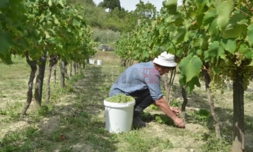 Одбележување на Меѓународниот ден на руралните жени