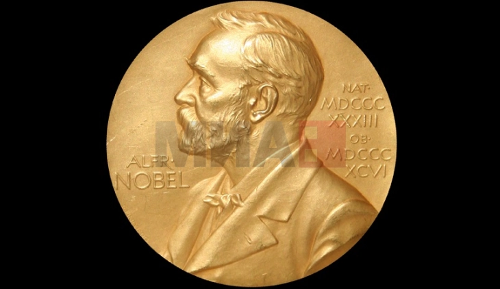 Зошто нема Нобелова награда за математика?