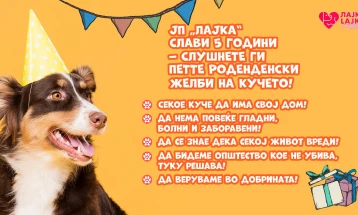 ЈП „Лајка“: Вдомувањето е суштински дел од решението за прекубројноста на бездомните кучиња, секое вдомено куче значи едно помалку на улица