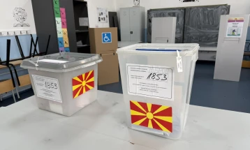 До 15 часот во Струга излезност од 27 отсто, во Вевчани 51 процент