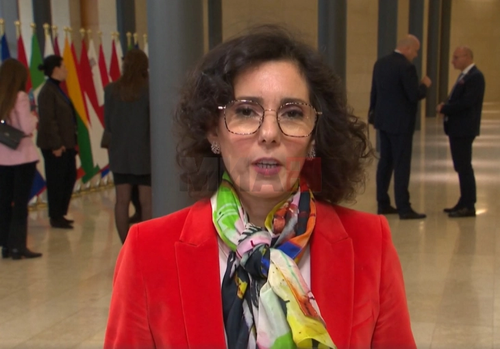 Лабиб: Мораме да го ублажиме страдањето на палестинскиот народ 