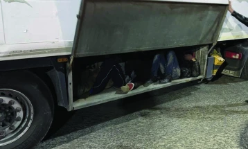 Цариниците спречиле обид за криумчарење мигранти