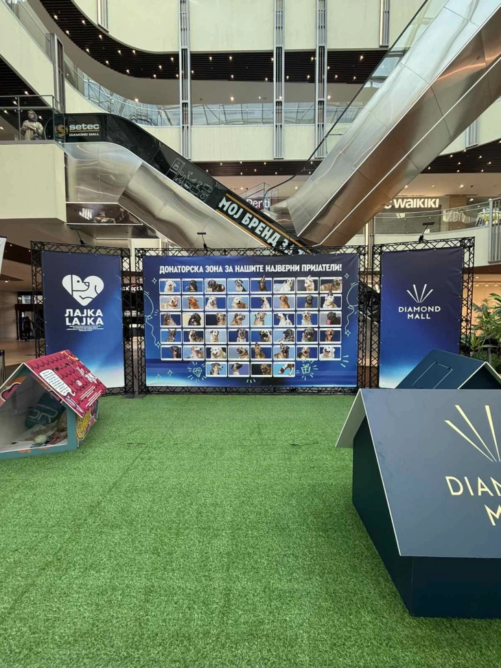 Викенд посветен на кучињата згрижени во „Лајка“