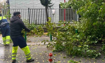 Општина Центар: ПОЦ и „Паркови и зеленило“ ги отстрануваат двете паднати дрвја во близина на училиштето Киро Глигоров