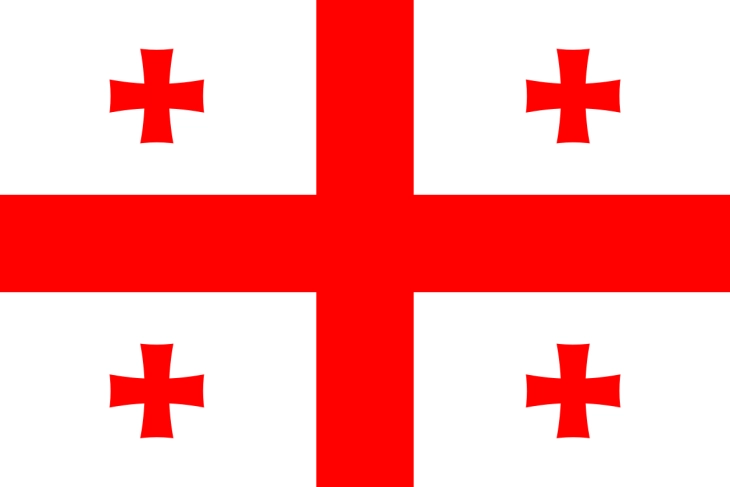 Грузиската владејачката партија бара од суд да забрани три најголеми опозициски блока