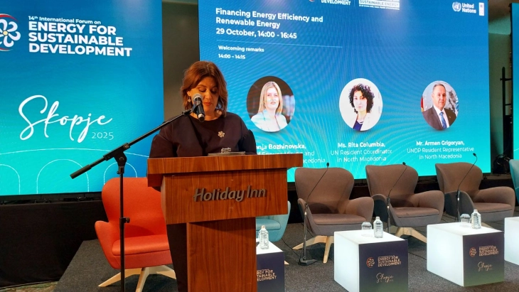 Bozhinovska at IFESD-14: Investing in energy efficiency builds a resilient future