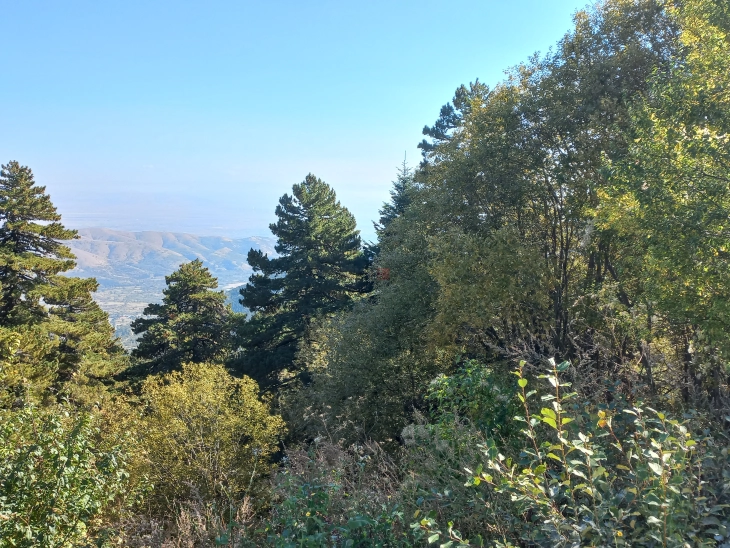 Физибилити студија за изградба на гондола на планината Баба