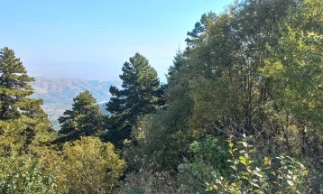 Физибилити студија за изградба на гондола на планината Баба