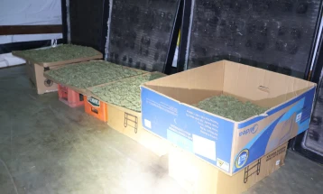 Претрес во охридско, пронајдени дрога, оружје и муниција, лишено од слобода едно лице, следува пријава