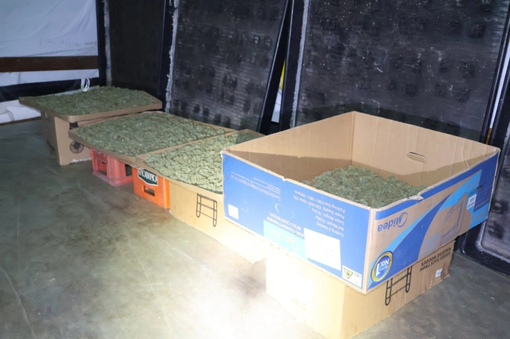 Bastisje në rajonin e Ohrit, gjenden drogë, armë dhe municion, një person është privuar nga liria, pason parashtresa