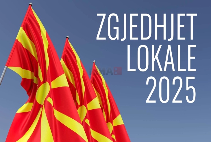 Fitues i zgjedhjeve për kryetar komune është ai që merr më shumë vota, nëse nuk arrihet zgjedhje, Qeveria emëron një përfaqësues