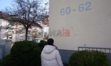 Во Германија уапсен Романец кој со крв цртал свастики по автомобили и ѕидови