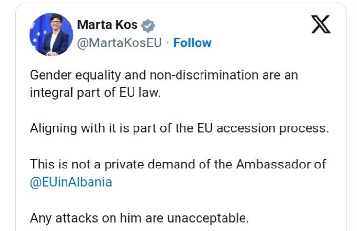 Кос: Родовата еднаквост е составен дел од правото на ЕУ, нападот врз Гонзато е неприфатлив