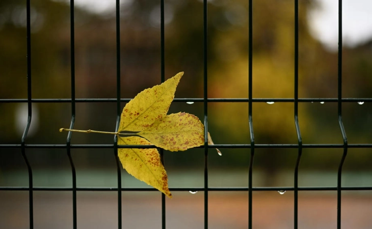 До понеделник променливо облачно со дожд, од вторник стабилизирање на времето