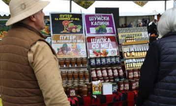 Саем на домашни земјоделски производи во Градскиот парк во Скопје
