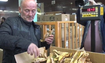 Привршуваат подготовките за откупот на тутунот