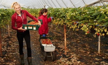 ЕП и Советот на ЕУ се усогласија околу предлогот за помали оптоварувања за земјоделците 