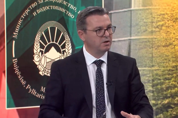 Tripunovski: Brukseli e përshëndeti vendimin e Qeverisë për ndriçim të rastit me Agjencinë pagesore