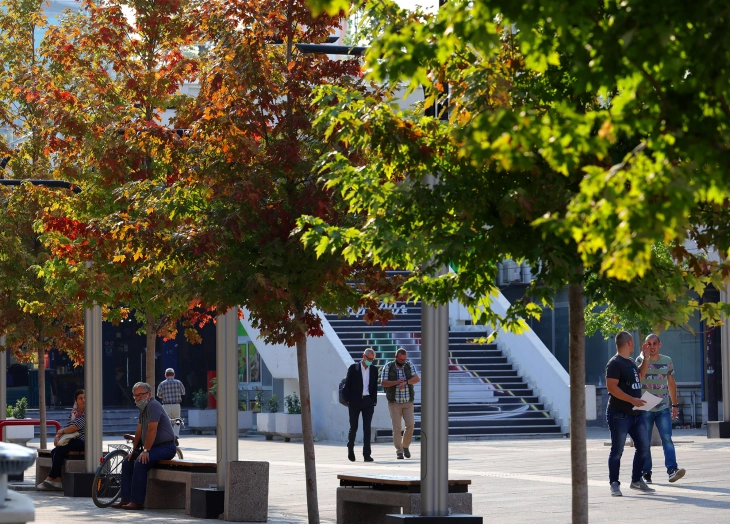 Sunny skies with temps up to 20°C