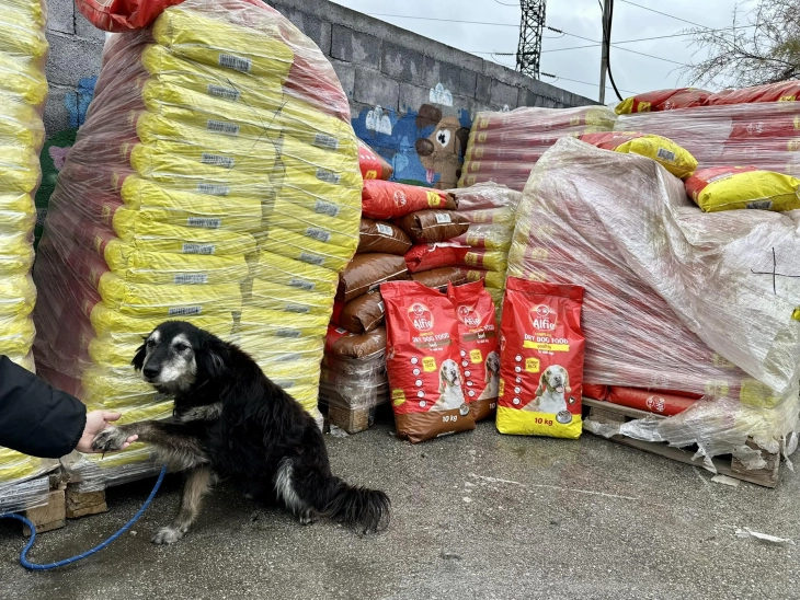 Донација на храна за кучињата во „Лајка“ во вредност од над 200.000 денари