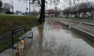 Облачно со локални врнежи од дожд