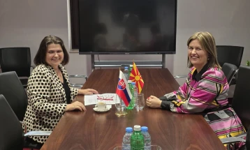 Minister Bozhinovska meets Slovak Ambassador Hricová, highlight potential for larger cooperation in energy sector