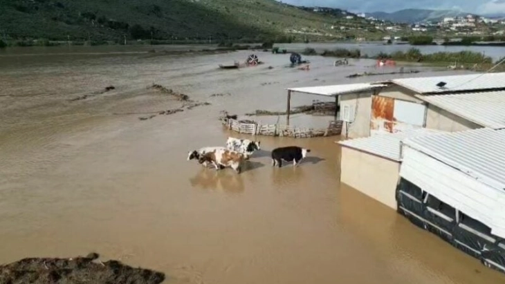 Në Shqipëri janë vërshyer rreth mijëra shtëpi dhe 1.500 hektarë tokë bujqësore, janë evakuuar qindra familje