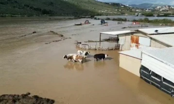 Në Shqipëri janë vërshyer rreth mijëra shtëpi dhe 1.500 hektarë tokë bujqësore, janë evakuuar qindra familje