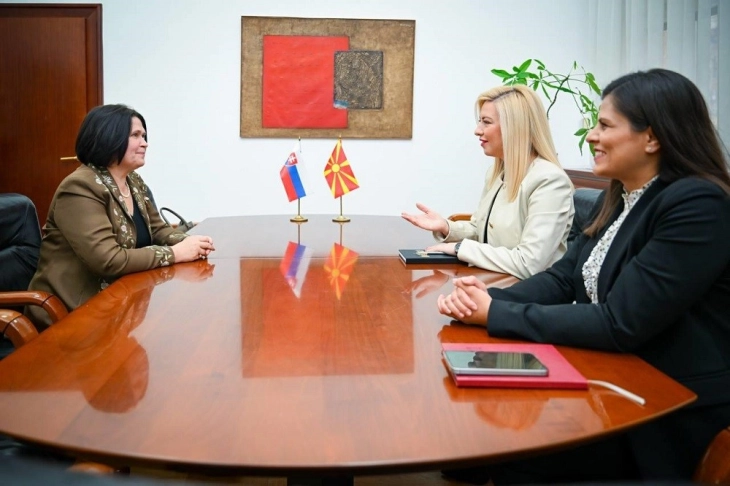 Димовска-Хрицова: Континуираниот дијалог ќе придонесе за натамошно јакнење на билатералните односи и парламентарната соработка