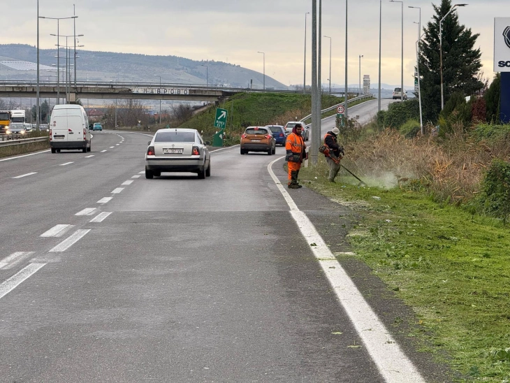 NPRRSH: Pastrim i vegjetacionit në qarkoret në autostradën A1, siguria prioritet kryesor