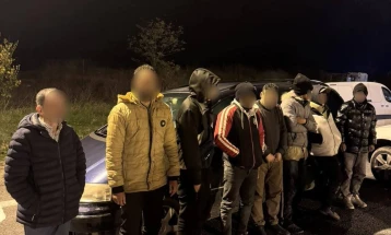 Smuggler detained for transporting seven illegal migrants from Egypt 