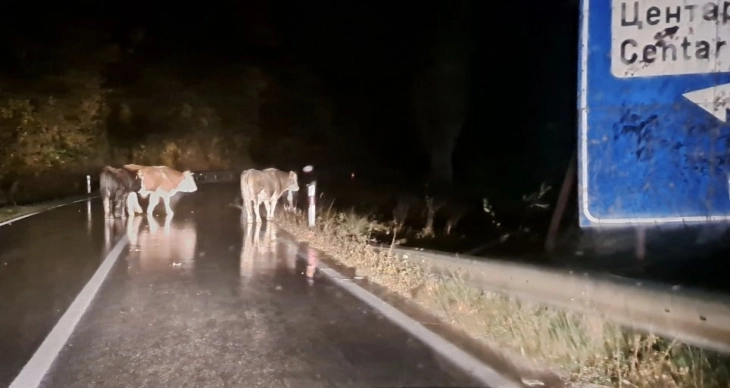 Предложен притвор за три лица од кривопаланечко кои спречувале службеници во вршење должност