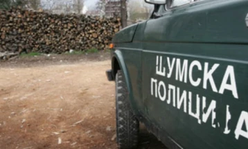 Приведен дрвокрадец од село Мартолци, Општина Чашка