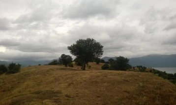 Weather: Cloudy skies, scattered rain; high 12°C