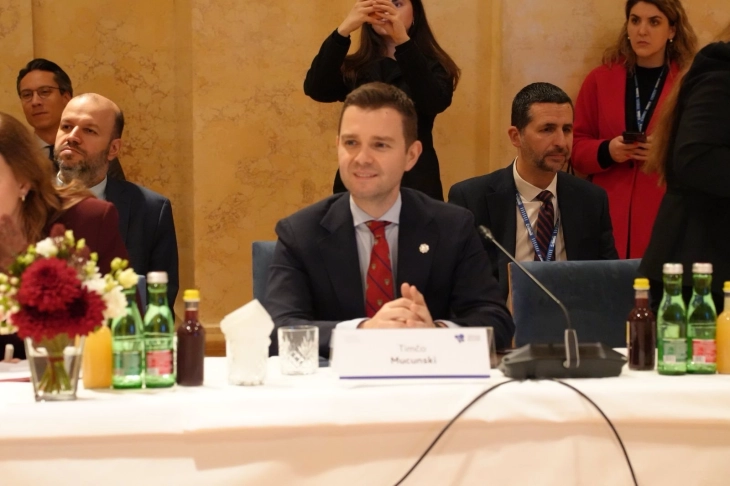 Mucunski attends Friends of Western Balkans meeting in Vienna