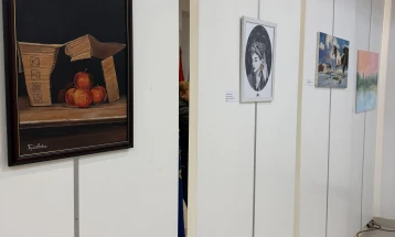 Отворена изложба на уметници аматери од општина Илинден