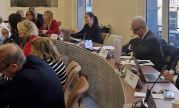 Пратеничката Костадиновска Стојчевска на состанок на Мониторинг комисијата на ПССЕ