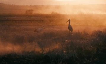 'The Tale of Silyan' nominated for Producers Guild of America award