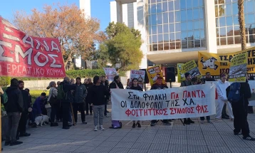 Обвинителката на судењето на Златна зора: Не е политичка партија, туку криминална организација