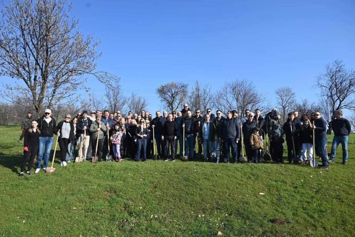 Сојуз на Ротари клубови на Македонија: 6 000 медоносни садници засадени низ целата држава